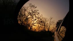 ujala