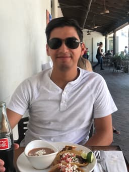 Gogogonzilla