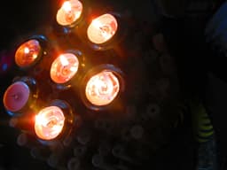 christcel