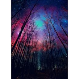 Aurora123