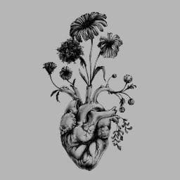 wanderer-3