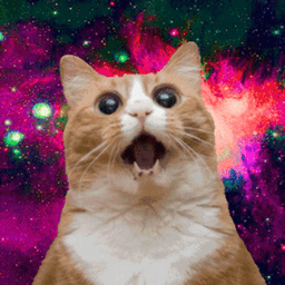 twitchykitty