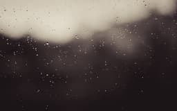 thegirlwiththescars