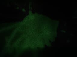etnaenigmajeffry