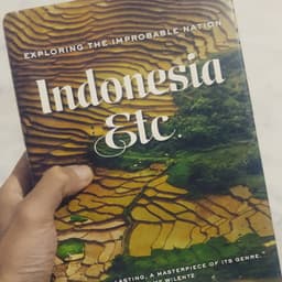 mailnasution