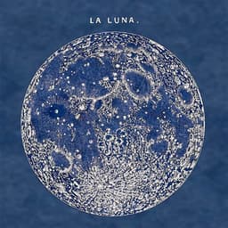 shivani-lalan