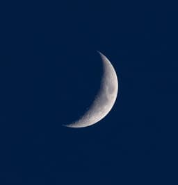 Nyx_