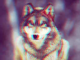 WhatsMyName