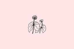olivia-grace-may