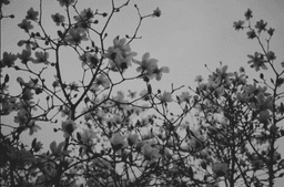 justjissel_