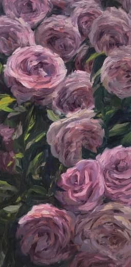 Swans_Sude