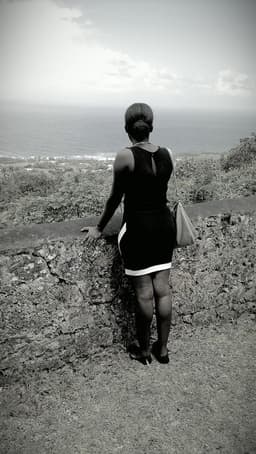 gemella-h