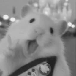 aliaaaaaaaaaaaaaaaa_