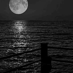 Poetria_