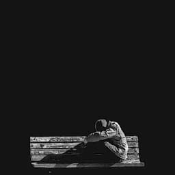 Blackbird_