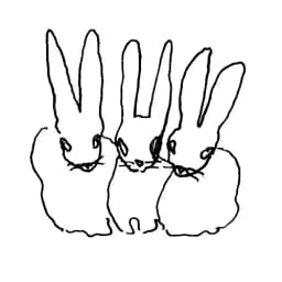 whiterabbits