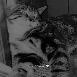 Kyy_luvsyouu